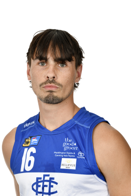 Austin Ball